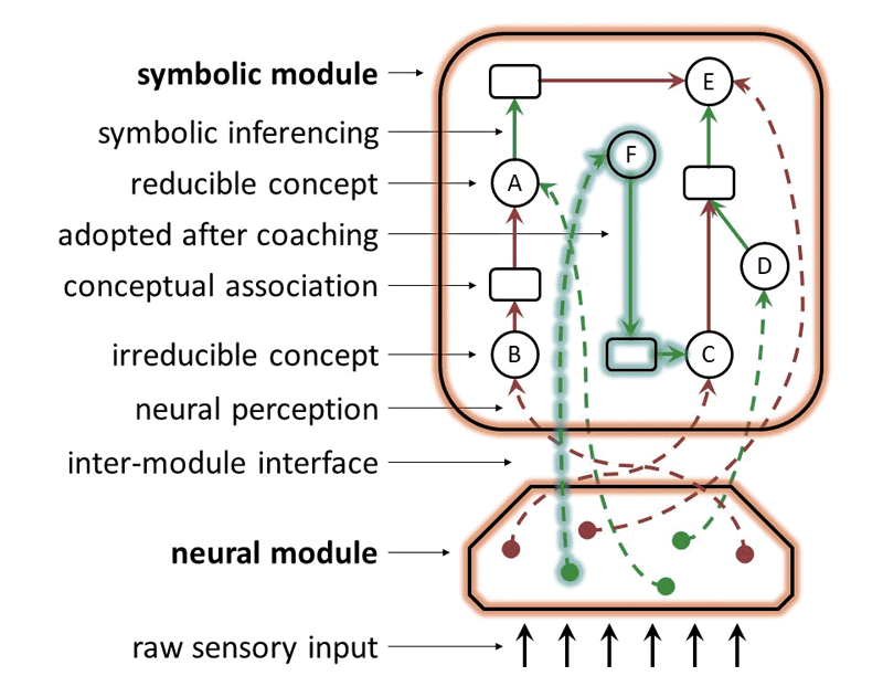 Figure 1: Depiction of a learned model with a neural-symbolic structure. The learned model receives raw sensory inputs through its neural module, maps them into a vector of output values, and maps each output value to one of the concepts in the symbolic module in a bijective manner. Reducible concepts in the symbolic module relate to other concepts through conceptual associations, which are viewed as expressing supporting or attacking arguments. Each of the two modules implements three methods: (a) deduction, for returning the output of a module when given a certain input, (b) abduction, for returning potential inputs of the module that give rise to a certain output, and (c) induction, for revising the module’s part of the learned model. Induction for the neural module can utilise standard neural training techniques, while induction for the symbolic module can utilise machine coaching. The learned model as a whole makes decisions and is revised by combining the methods of its two constituent modules.