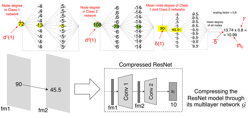 Figure 2: Compressing the ResNet of Figure 1 when two target classes are considered [3]. The two layers of the multilayer network corresponding to the target classes are reported on the top left and top mid of the figure (yellow and green coloured). The third graph on the top right contains the total degree of each node over the two layers. The value 10.99 of the threshold is obtained as the mean degree of all nodes, which is 13.74, multiplied by the scaling factor, which is 0.8. The only two nodes exceeding the threshold are those with mean degrees of 90 and 45.5. Since they are located on the first and second feature maps, fm1 and fm2, only the first and second convolutional layers will be retained in the CNN.