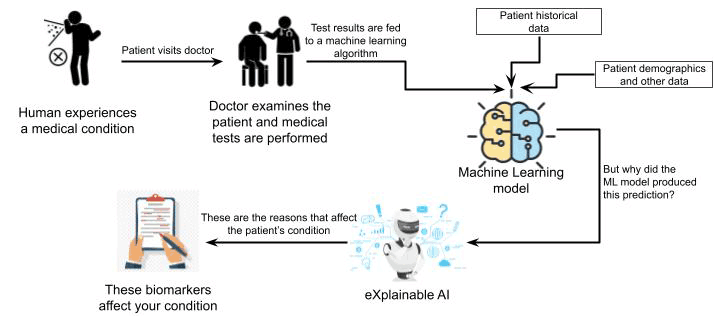 Figure 1: A visual representation of a patient-centric data flow: enabling AI-driven biomarker analysis and explainable insights for doctors
