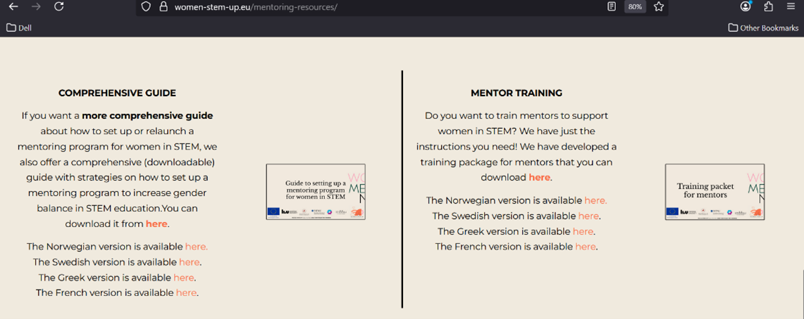 Figure 3: The downloadable guide and mentor training packet on the website.