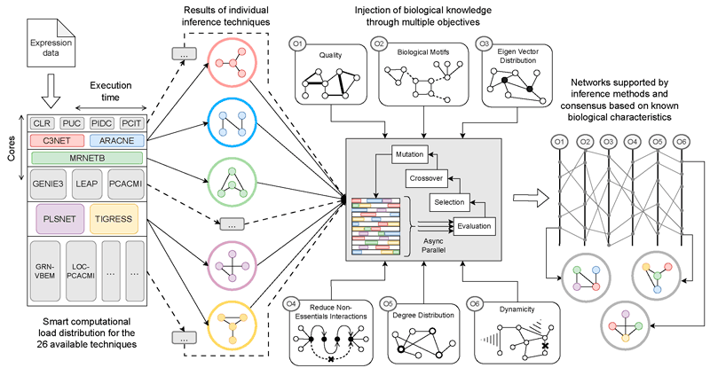 Figure 1. Overview of the context-guided consensus proposal for inferring gene regulatory networks. Multiple inference techniques are executed in parallel, each producing a different candidate network. These networks are evaluated and combined through an evolutionary process informed by biological knowledge, including regulatory patterns, interaction quality, and realistic network structures. The resulting consensus networks are both supported by the computational evidence and constrained by known biological characteristics.