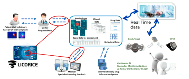 Figure 1: Secure framework for access and storage and storage of data in the LICORICE health pilot [3].