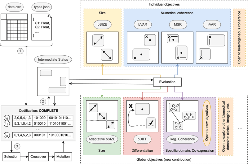 Figure 1: Overview of the MOEBA-BIO framework architecture. The workflow begins with structured biomedical input data and a column-type specification, which are transformed into a holistic solution representation (“COMPLETE” encoding). Each individual models a full biclustering structure and evolves through selection, crossover and mutation. The evaluation stage integrates traditional individual objectives (e.g., size and numerical coherence) together with newly introduced global objectives such as adaptive bicluster size, structural differentiation and domain-specific regulatory coherence. The modular design allows the integration of additional objectives and the exploration of heterogeneous biomedical domains, supporting extensibility and expert-driven specialisation within an open research software ecosystem.