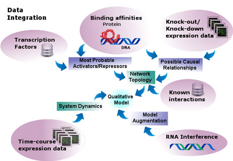 Figure 1: Data integration.