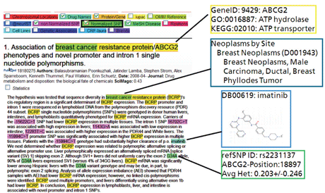 Figure 2: Highlighting and Enrichment through Named Entity Recognition.