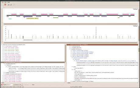 Figure 2: Output of QOD, when used to compare pairwise Brucella suis and B. microtii genomes. The top diagram represents B. suis genome as a central horizontal black and blue bar, and each other colored horizontal bar depicts a maximal region of similarity with B. microtii genome. The high genome coverage by such bars indicates the proximity of the two species. Lower parts of the window allows to browse the segmentation together with intersecting annotations of the target genome.