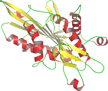 Figure 1: Three-dimensional homology model of the human Kinesin-like protein KIF3A, a protein involved in the microtubule-based translocation. The model was generated using the experimental structure of a related protein, the motor domain of the human Kinesin-like protein KIF3B sharing 66% sequence identity, as template.