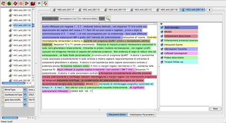 Figure 1: A mammographic report automatically annotated according to the nine concepts of interest.