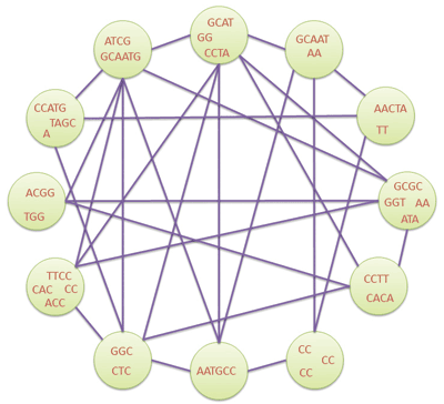 Figure 1: A Network of Bio-inspired Language Processors.  The nodes process multisets of strings and communicate with each other. 