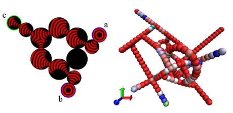 Figure 3a (left) Simulation of directed waves in sub-excitable medium within a network of droplets with two different inputs a, b and output c (image by Julian Holley, University of the West of England, for animation see link below). 3b: Stochastic 3-D simulation of a droplet network counting the number of activated inputs (image by Gerd Gruenert, FSU Jena).