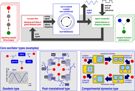 Figure 1: General scheme of a pure chemical frequency control system based on the concept of phase-locked loops (PLL). The upper part shows the coupling structure of the three essential modules: core oscillator, signal comparator, and low pass filter. Each module can be represented by numerous reaction networks. For instance, complex formation suffices for acting as signal comparator while a signalling cascade exemplifies a low pass filter. Different types of core oscillators complete the control circuit.