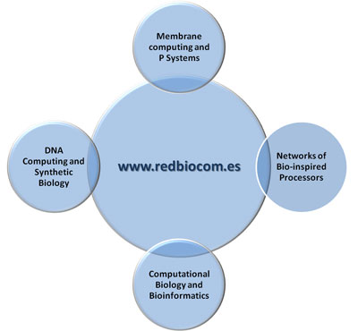 Figure 1: main research areas of Redbiocom.