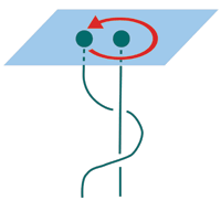 Figure 1: Two anyons in a plane. One encircles the other and the figure shows the braid corresponding to that process.