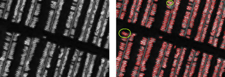 Figure 1. (left) Image of boats in harbors ©CNES; (right) Extraction results ©INRIA-AYIN.