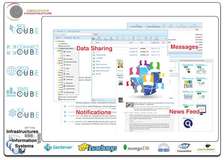 Figure 1: D4 Science infrastructure. 