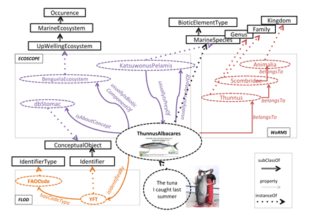 Figure 1: Assembling complementary information about “Thunnus Albacares